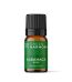 Aceite esencial Albahaca 5ml