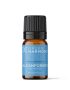 Aceite esencial Alcanfor 5ml