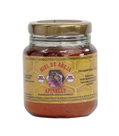 MIEL DE ABEJA 145ML APINELLY