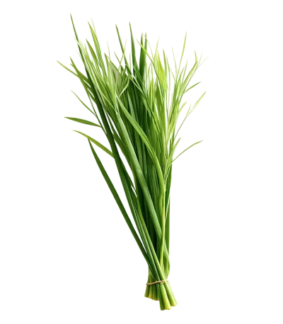 Hierba Luisa (Atado)