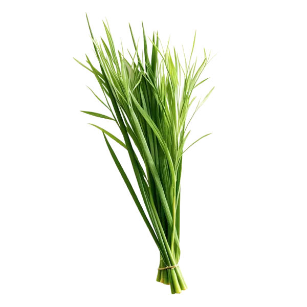 Hierba Luisa (Atado)