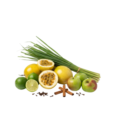 Kit limonada y refrescos naturales