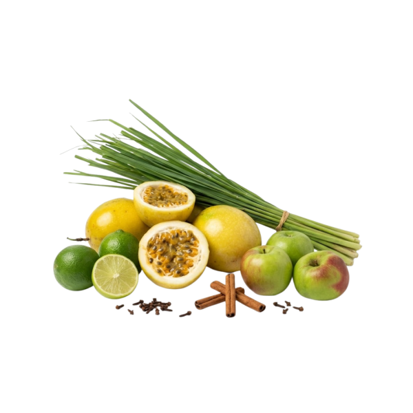 Kit limonada y refrescos naturales